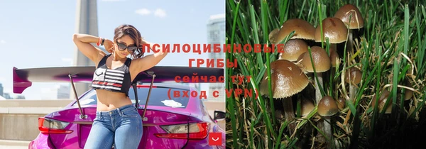 марки lsd Алзамай