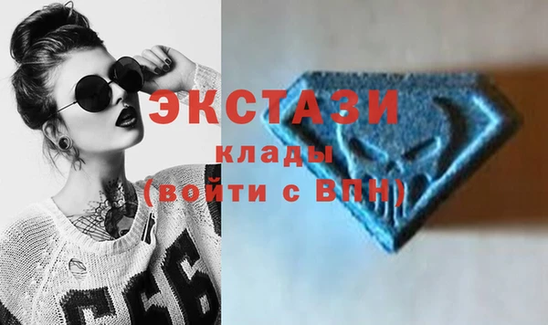 шишки Новодвинск