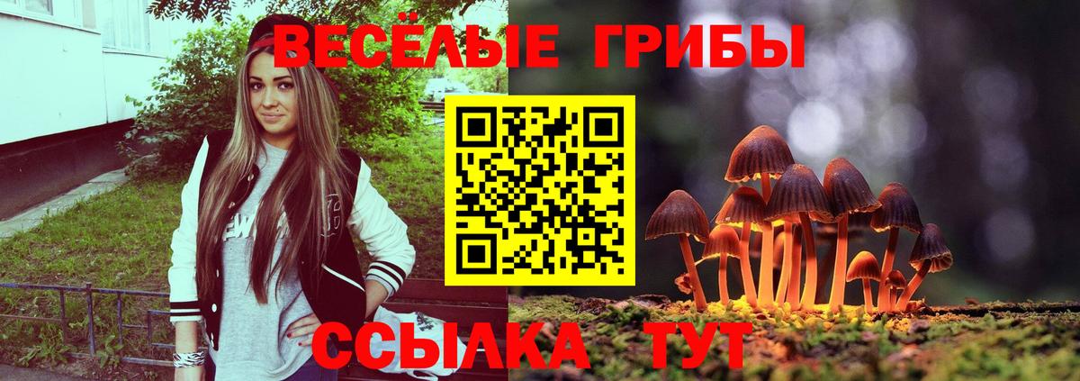 Галлюциногенные грибы GOLDEN TEACHER  Вход с VPN  Шуя 